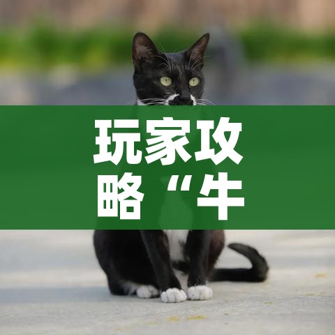 玩家攻略“牛魔王金花牛牛房卡”详细房卡怎么购买教程