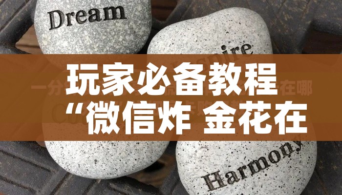 玩家必备教程“炸 金花链接房卡代理”详细房卡怎么购买教程 玩家必备教程“炸 金花链接房卡代理”详细房卡怎么购买教程