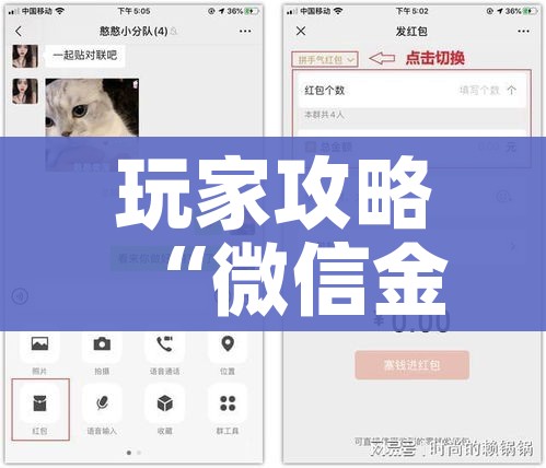 玩家攻略“微信金花房卡哪里买”房卡使用教程 玩家攻略“微信金花房卡哪里买”房卡使用教程