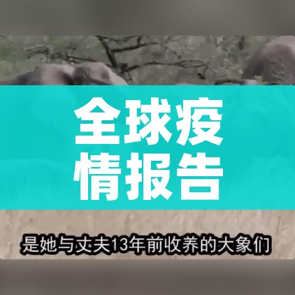 给大家讲解“微信牛牛房卡如何购买”链接房卡在哪里获取 给大家讲解“微信牛牛房卡如何购买”链接房卡在哪里获取