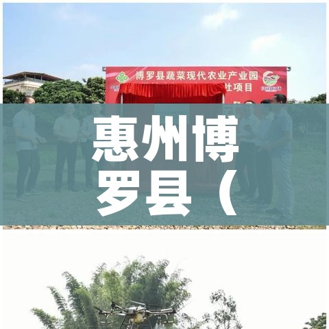 全攻略普及“微信链接大厅牛牛怎么挂”详细房卡教程 全攻略普及“微信链接大厅牛牛怎么挂”详细房卡教程