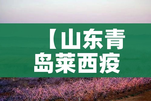 给大家讲解“微信牛牛链接版有房卡”详细房卡教程