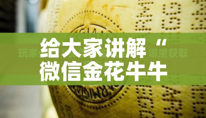 给大家讲解“微信金花牛牛房卡怎么买”轻松获取房卡全渠道