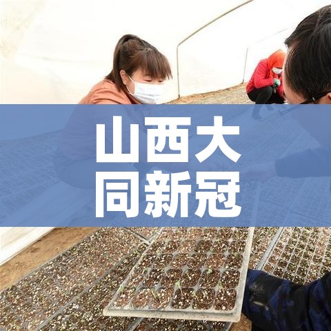 给大家讲解“微信炸 金花房间卡链接怎么弄的”详细房卡使用教程 给大家讲解“微信炸 金花房间卡链接怎么弄的”详细房卡使用教程