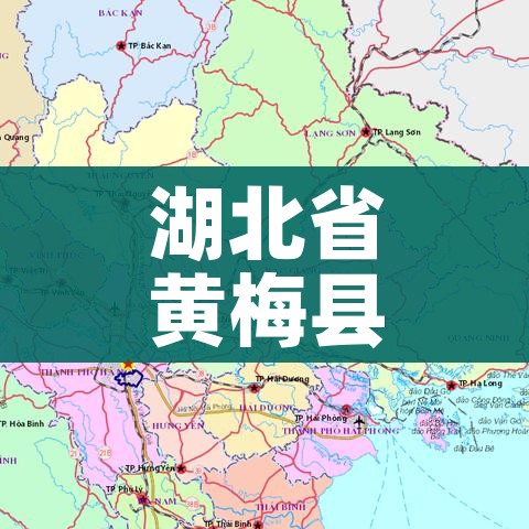 给大家讲解“天蝎大厅金花房卡”详细房卡怎么购买教程