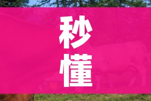 一分钟了解“链接牛牛房卡购买”详细房卡怎么购买教程 一分钟了解“链接牛牛房卡购买”详细房卡怎么购买教程