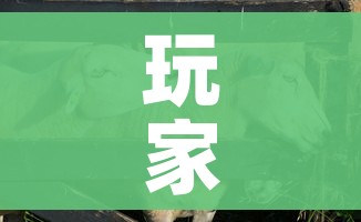 给大家讲解“微信群牛牛房卡如何充值”购买房卡介绍 给大家讲解“微信群牛牛房卡如何充值”购买房卡介绍
