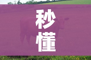 秒懂教程“斗牛房卡怎么购买”获取房卡教程-哔哩哔哩 秒懂教程“斗牛房卡怎么购买”获取房卡教程-哔哩哔哩