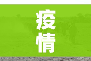玩家攻略“微信炸 金花房卡链接有挂吗”房卡获取方式 玩家攻略“微信炸 金花房卡链接有挂吗”房卡获取方式