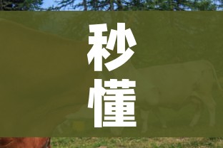 分享实测“微信群大厅牛牛房卡”房卡链接获取