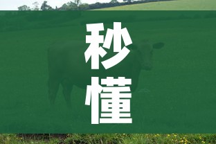 一分钟实测分享“微信买房卡牛牛游戏”获取房卡教程-哔哩哔哩 一分钟实测分享“微信买房卡牛牛游戏”获取房卡教程-哔哩哔哩