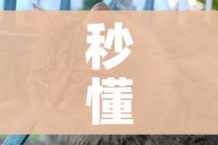 秒懂百科“牛牛房卡从哪买”获取房卡教程-哔哩哔哩 秒懂百科“牛牛房卡从哪买”获取房卡教程-哔哩哔哩