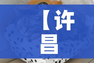 给大家讲解“微信斗牛怎么创建房间?”房卡详细充值 给大家讲解“微信斗牛怎么创建房间?”房卡详细充值