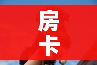 一分钟实测分享“微信群炸 金花链接怎么弄的”详细房卡怎么购买教程 一分钟实测分享“微信群炸 金花链接怎么弄的”详细房卡怎么购买教程