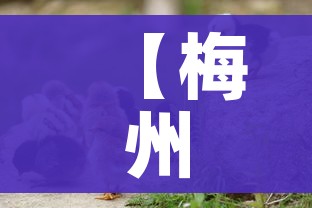 给大家讲解“微信炸 金花房卡链接”获取房卡教程-哔哩哔哩