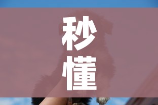 秒懂教程“斗牛房卡牛牛房卡”购买房卡介绍 秒懂教程“斗牛房卡牛牛房卡”购买房卡介绍