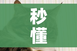 秒懂教程“斗牛房卡牛牛房卡”购买房卡介绍 秒懂教程“斗牛房卡牛牛房卡”购买房卡介绍