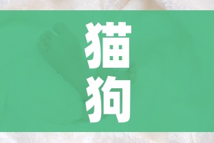 给大家讲解“微信牛牛群房卡”详细房卡使用教程 给大家讲解“微信牛牛群房卡”详细房卡使用教程