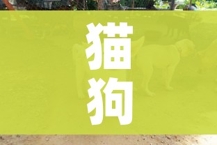 一分钟实测分享“微信炸 金花房卡在哪里购买”链接房卡在哪里获取 一分钟实测分享“微信炸 金花房卡在哪里购买”链接房卡在哪里获取