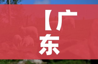 房卡全攻略“微信牛牛怎么创建房间”房卡详细充值 房卡全攻略“微信牛牛怎么创建房间”房卡详细充值