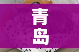 全攻略普及“微信牛牛炸 金花房卡”房卡使用教程