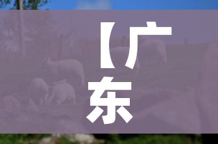 科普一下“随意玩炸 金花链接房卡哪里有”详细房卡教程 科普一下“随意玩炸 金花链接房卡哪里有”详细房卡教程