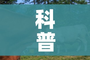 科普一下“微信牛牛群房卡哪里买”房卡链接获取 科普一下“微信牛牛群房卡哪里买”房卡链接获取