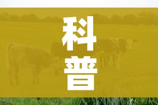 科普一下“微信牛牛群房卡哪里买”房卡链接获取 科普一下“微信牛牛群房卡哪里买”房卡链接获取