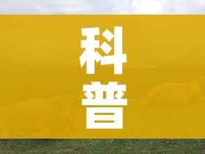 科普一下“微信怎么建房玩斗牛牛啊”房卡获取方式 科普一下“微信怎么建房玩斗牛牛啊”房卡获取方式