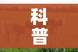 给大家讲解“微信群牛牛房卡怎么买”详细房卡使用教程