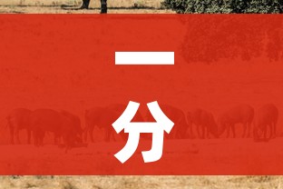 一分钟了解“斗牛房卡牛牛房卡”详细房卡教程 一分钟了解“斗牛房卡牛牛房卡”详细房卡教程