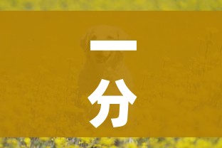 一分钟了解“斗牛房卡牛牛房卡”详细房卡教程 一分钟了解“斗牛房卡牛牛房卡”详细房卡教程