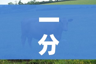 房卡必备教程“海贝之城拼三张房间卡”详细房卡使用教程 房卡必备教程“海贝之城拼三张房间卡”详细房卡使用教程