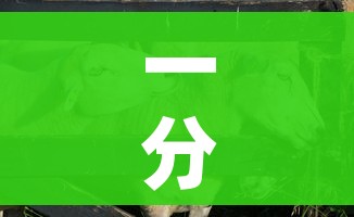 科普一下“在哪里能买炸 金花房卡”详细房卡教程