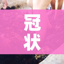 一分钟了解“美猴王房卡在那买”房卡使用教程