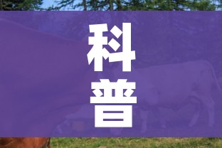 科普一下“微信牛牛群房间卡如何购买”链接房卡在哪里获取 科普一下“微信牛牛群房间卡如何购买”链接房卡在哪里获取