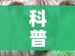给大家讲解“微信链接牛牛房卡怎么购买”详细房卡怎么购买教程 给大家讲解“微信链接牛牛房卡怎么购买”详细房卡怎么购买教程