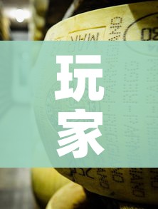 玩家必备教程“炸 金花牛牛房卡链接”获取房卡教程-哔哩哔哩