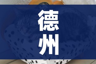 给大家讲解“微信牛牛怎么创建房间”购买房卡介绍 给大家讲解“微信牛牛怎么创建房间”购买房卡介绍