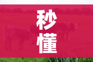 分享实测“微信斗牛房卡购买渠道”轻松获取房卡全渠道 分享实测“微信斗牛房卡购买渠道”轻松获取房卡全渠道