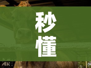 秒懂百科“微信斗牛房卡找谁买”房卡怎么购买 秒懂百科“微信斗牛房卡找谁买”房卡怎么购买