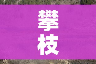 房卡必备教程“金华房卡在哪买”购买房卡介绍