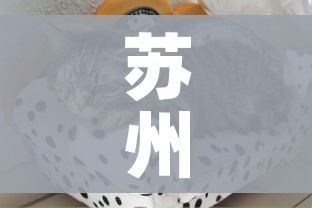 玩家攻略“微信牛牛游戏房卡”详细房卡教程