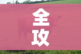 全攻略普及“微信牛牛群房间卡如何购买”详细房卡教程 全攻略普及“微信牛牛群房间卡如何购买”详细房卡教程