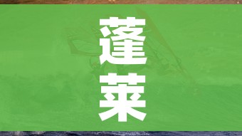 给大家讲解“微信炸 金花在哪里充值卡”详细房卡怎么购买教程 给大家讲解“微信炸 金花在哪里充值卡”详细房卡怎么购买教程