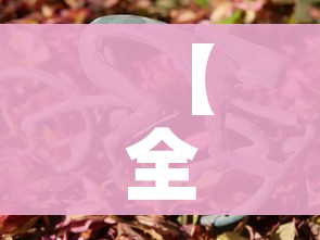 玩家必备教程“微信牛牛房卡金花房卡”详细房卡怎么购买教程