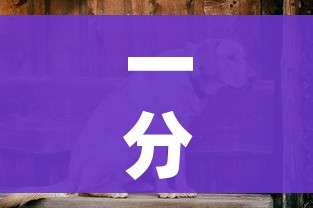 全攻略普及“皇豪互娱房卡哪里买”详细房卡教程 全攻略普及“皇豪互娱房卡哪里买”详细房卡教程