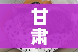 玩家攻略“微信炸 金花房卡链接在哪弄”房卡详细充值 玩家攻略“微信炸 金花房卡链接在哪弄”房卡详细充值