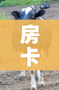房卡必备教程“微信牛牛群斗牛群”房卡获取方式 房卡必备教程“微信牛牛群斗牛群”房卡获取方式