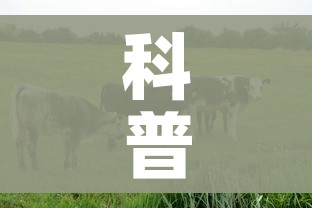 科普一下“微信牛牛群房卡”房卡使用教程
